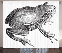 Engraved Amphibian Fauna Art Curtain