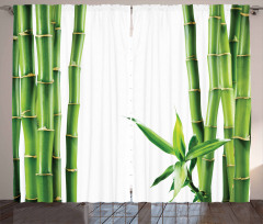 Branches of Bamboo Plant Curtain