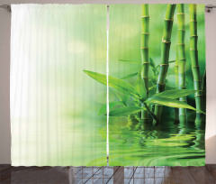 Spa Bamboos Trees Curtain