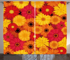 Warm Tones Flowers Curtain