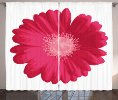 Close up Flower Curtain