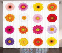 Colorful Petals Love Curtain