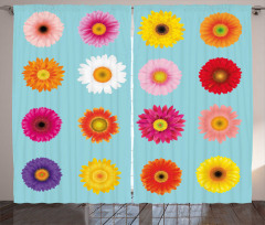 Blooms Flowers Curtain