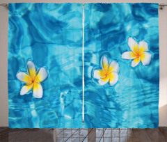 Frangipani Flower Aqua Curtain