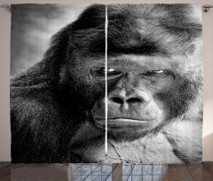 Ape Portrait Photography Curtain