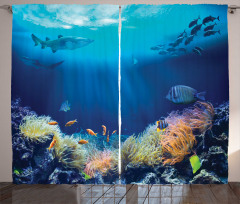 Various Fish Nautical Curtain