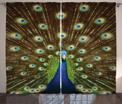 Peacock with Feathers Curtain