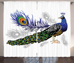 Wild Peacock Feather Curtain