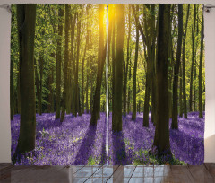 Bluebell Blossoms Curtain