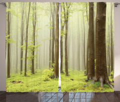 Misty Beech Forest Photo Curtain