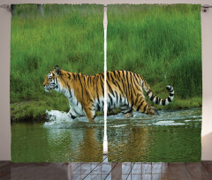 Siberian Tiger Panthera Curtain