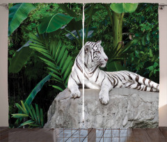 White Tiger in Jungle Curtain