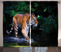 Wild Jungle Tiger Tree Curtain