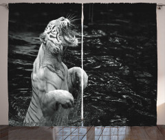 Exotic White Tiger Curtain
