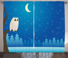 Owl on Tree Branch Art Curtain