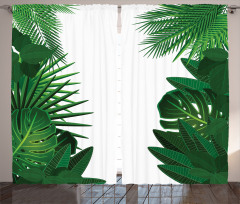 Tropical Exotic Palms Curtain