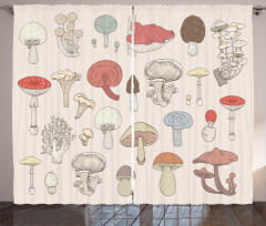 Pastel Various Mushrooms Curtain