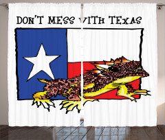 American Texas City Curtain