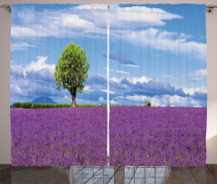 Lavender Field Tree Curtain