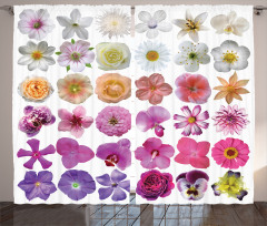 Flowers Petunia Botanic Curtain