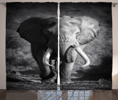 Exotic Wildlife Elephant Curtain