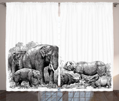 Elephants Curtain