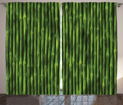 Tropical Bamboo Stems Curtain