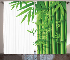 Modern Bamboos Stems Curtain