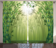 Bamboo Trees in Forest Curtain