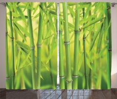 Bamboo Sprout Stem Forest Curtain