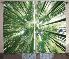 Tropic Rain Forest Bamboo Curtain