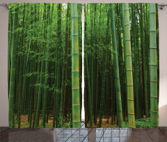 Exotic Bamboo Tree Forest Curtain