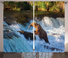 Alaska Waterfall Wildlfie Curtain