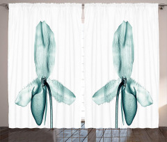 Modern Flower X-Ray Curtain