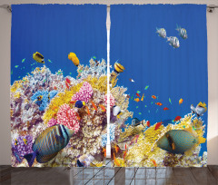 Tropical Corals Fish Curtain
