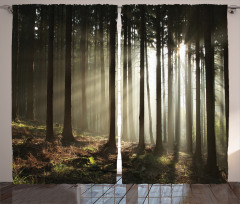 Morning Forest Scenery Curtain