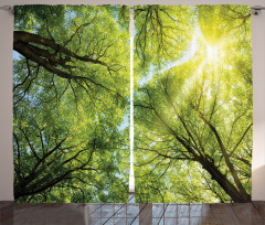 Romantic Beech Trees Curtain