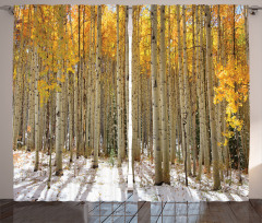 Aspen Tree Woods Scenery Curtain