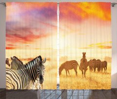 South Wild Zebra Curtain