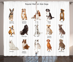 Puppy Breeds Family Curtain