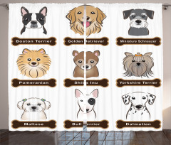 Boston Terrier Dogs Curtain