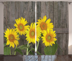 Helianthus Sunflowers Curtain