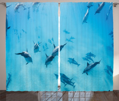 Dolphins Hawaii Ocean Curtain