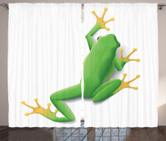 Tropic Frog in Nature Curtain