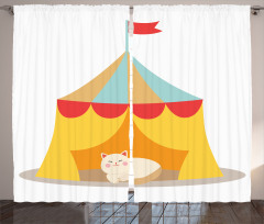Furry Cat in a Circus Curtain