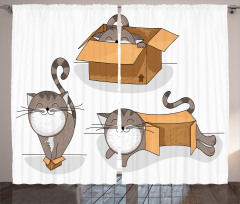 Kitten Cat in the Box Curtain