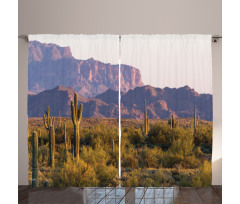 Cactus Mountain in Spring Curtain