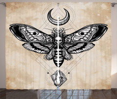 Hawk Moth Skull Magic Curtain