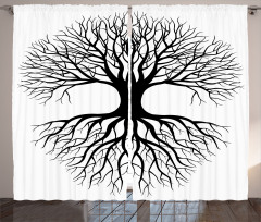 Roots Branch Leafless Curtain