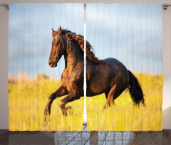 Meadow Mystery Horse Curtain